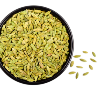 Fennel