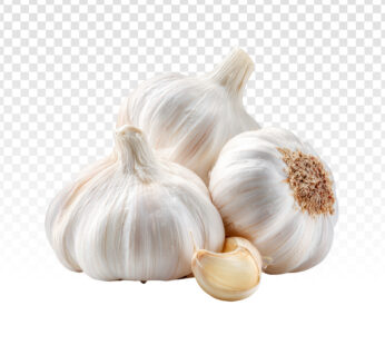 Fresh Garlic