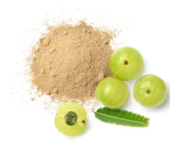 Bhumi Amla Powder (Keelanelli)