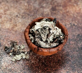 Black Stone Flower