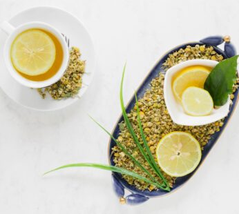 Ginger Mint Lemon Green Tea Bags