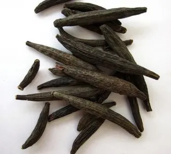 Marathi Moggu