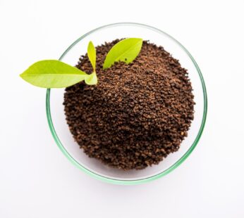Premium Tea Powder